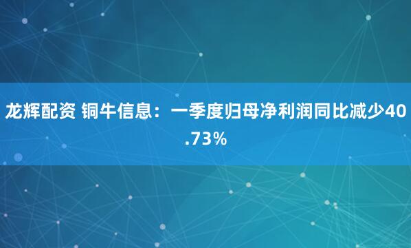 龙辉配资 铜牛信息：一季度归母净利润同比减少40.73%