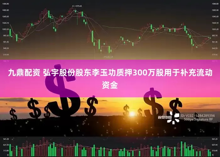 九鼎配资 弘宇股份股东李玉功质押300万股用于补充流动资金