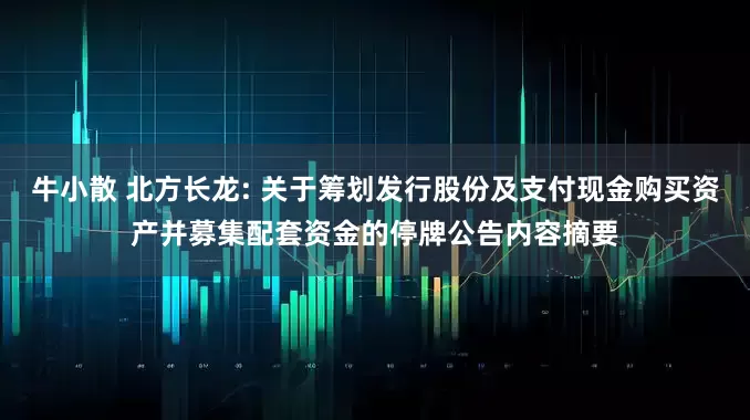 牛小散 北方长龙: 关于筹划发行股份及支付现金购买资产并募集配套资金的停牌公告内容摘要