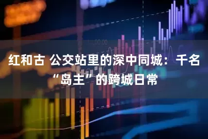 红和古 公交站里的深中同城：千名“岛主”的跨城日常