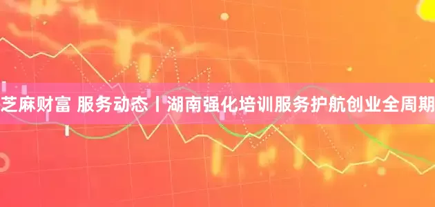 芝麻财富 服务动态丨湖南强化培训服务护航创业全周期