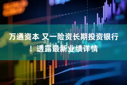 万通资本 又一险资长期投资银行！透露最新业绩详情