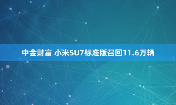 中金财富 小米SU7标准版召回11.6万辆