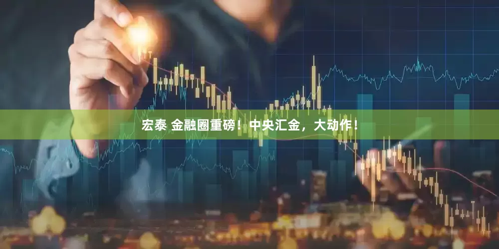 宏泰 金融圈重磅！中央汇金，大动作！