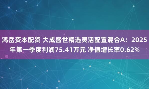 鸿岳资本配资 大成盛世精选灵活配置混合A：2025年第一季度利润75.41万元 净值增长率0.62%